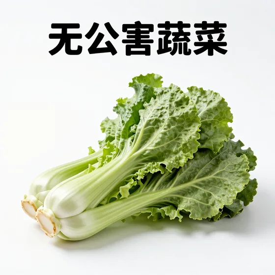 该品牌